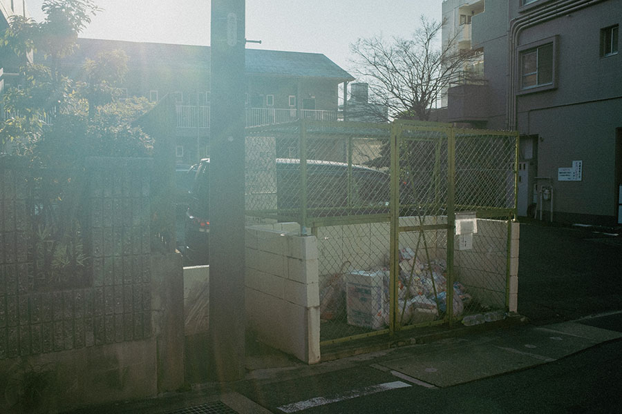 サンプル画像