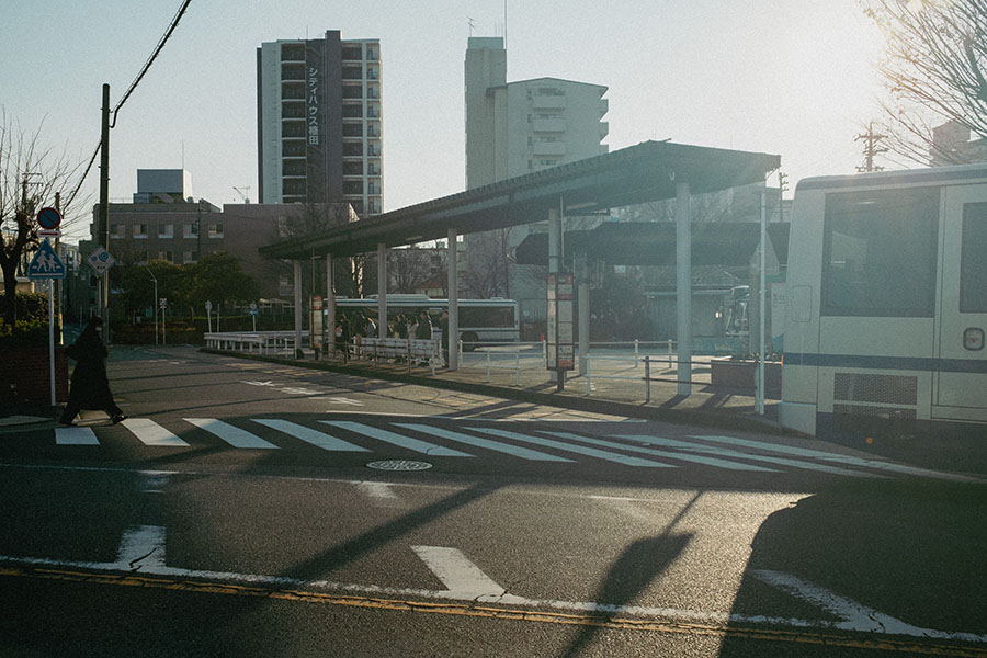 サンプル画像