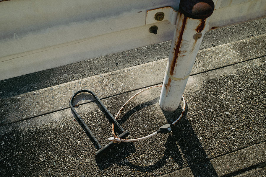 サンプル画像