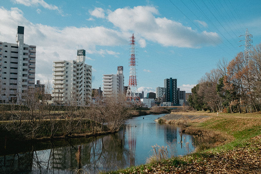 サンプル画像