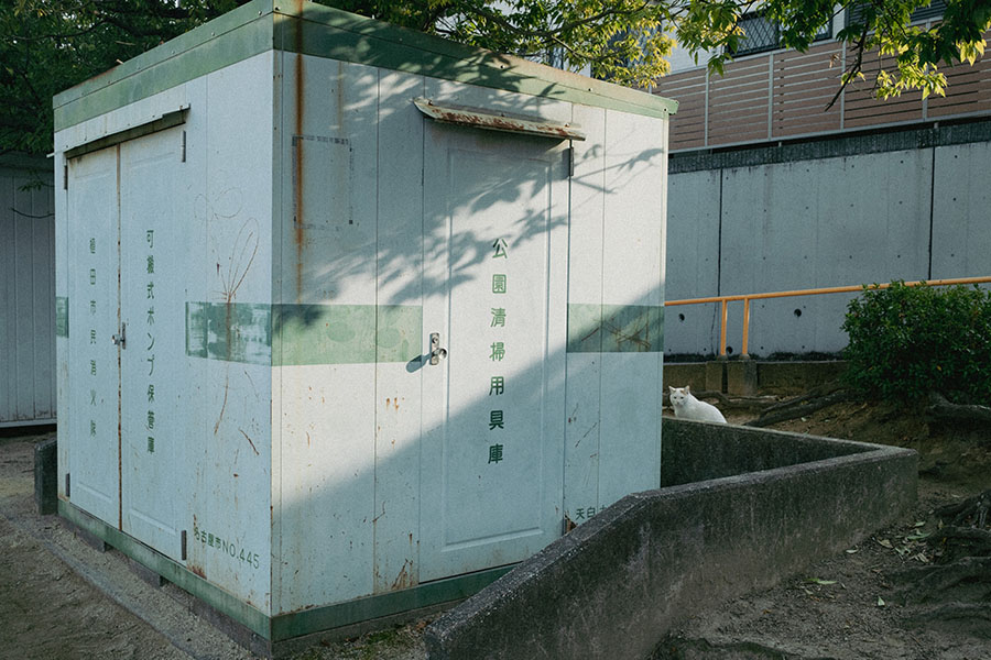 サンプル画像