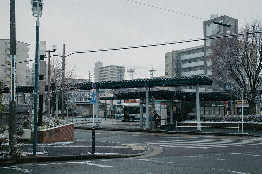 サンプル画像