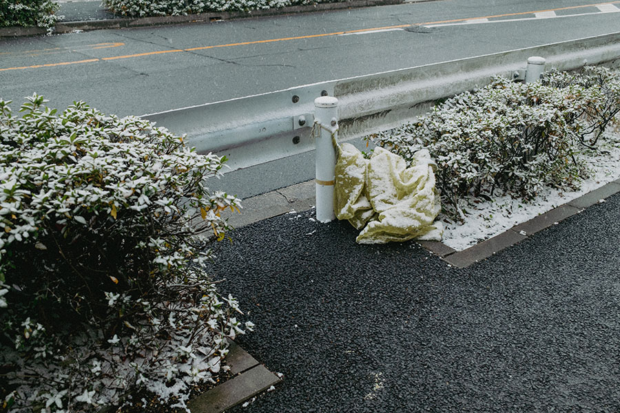 サンプル画像