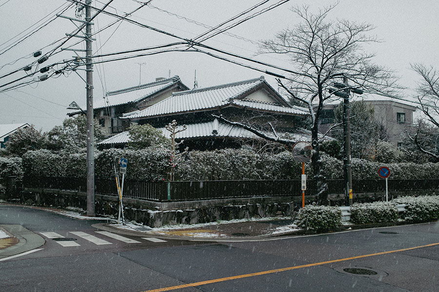 サンプル画像